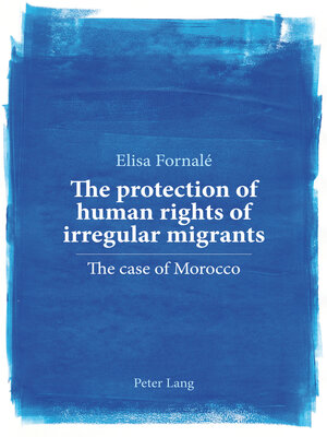 cover image of The protection of human rights of irregular migrants